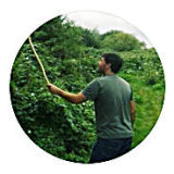 Bitesize Foraging