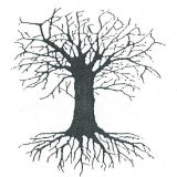 Tree Spirit